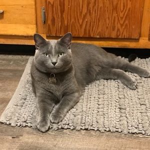 Meet your Posher, Dana